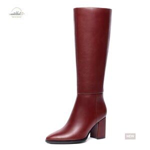 Pointed Toe Knee High Boots Chunky Block Heel Platform Dress Boots Elegant